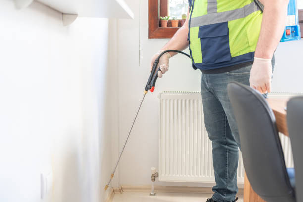 Best Flea Control Services  in Plainville, KS