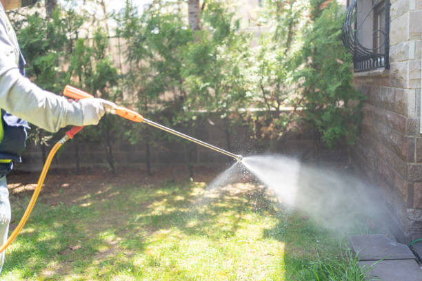 Best Wasp Removal Services  in Plainville, KS