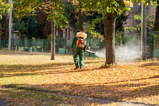 Best Exterminator Services  in Plainville, KS