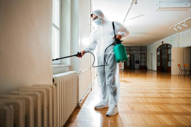 Best Flea Control Services  in Plainville, KS