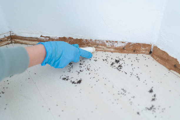 Best Best Pest Control Companies  in Plainville, KS